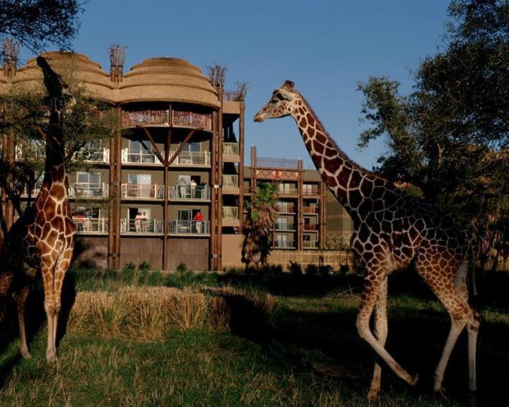 奥兰多 迪士尼动物王国小屋酒店 外观 照片
